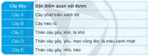 BÀI 13. NHU CẦU SỐNG CỦA THỰC VẬT VÀ CHĂM SÓC CÂY TRỒNGMỞ ĐẦUCâu 1: Em hãy đưa ra lời khuyên giúp bạn Nam chăm sóc cây. 