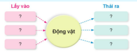 BÀI 14. NHU CẦU SỐNG CỦA ĐỘNG VẬT VÀ CHĂM SÓC VẬT NUÔIMỞ ĐẦUCâu 1: Kể tên một số động vật sống dưới nước, một số động vật sống trên cạn. Nêu những yếu tố cần thiết cho những động vật này phát triển. Đáp án chuẩn: