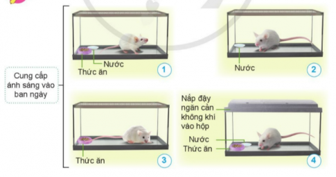 BÀI 14. NHU CẦU SỐNG CỦA ĐỘNG VẬT VÀ CHĂM SÓC VẬT NUÔIMỞ ĐẦUCâu 1: Kể tên một số động vật sống dưới nước, một số động vật sống trên cạn. Nêu những yếu tố cần thiết cho những động vật này phát triển. Đáp án chuẩn: