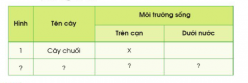 2. Phân loại thực vật và động vật theo môi trường sống