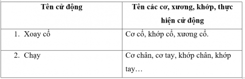 2. Chức năng của cơ quan vận động