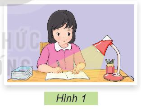 BÀI 2: SỬ DỤNG ĐÈN HỌC