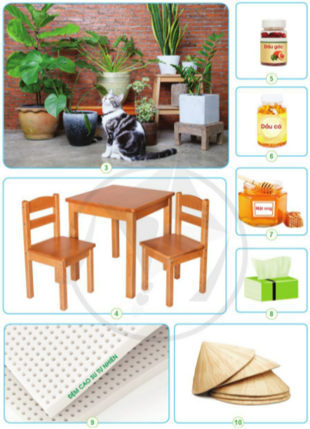 BÀI 14. SỬ DỤNG HỢP LÍ THỰC VẬT VÀ ĐỘNG VẬT