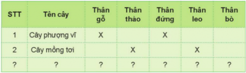 BÀI 12. CÁC BỘ PHẬN CỦA THỰC VẬT VÀ CHỨC NĂNG CỦA CHÚNG