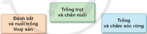 BÀI 9. HOẠT ĐỘNG SẢN XUẤT NÔNG NGHIỆP