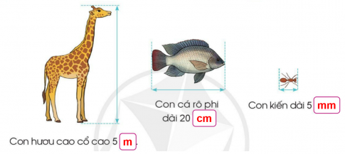 BÀI 4: MI – LI – MÉT 