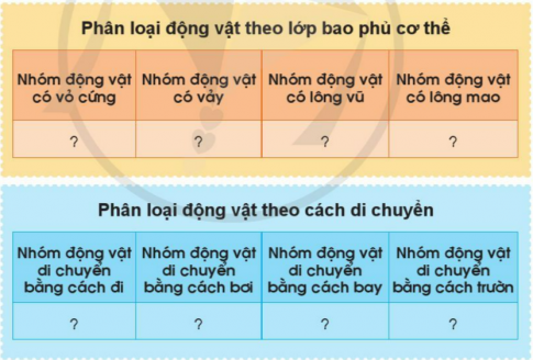 BÀI 13. CÁC BỘ PHẬN CỦA ĐỘNG VẬT VÀ CHỨC NĂNG CỦA CHÚNG