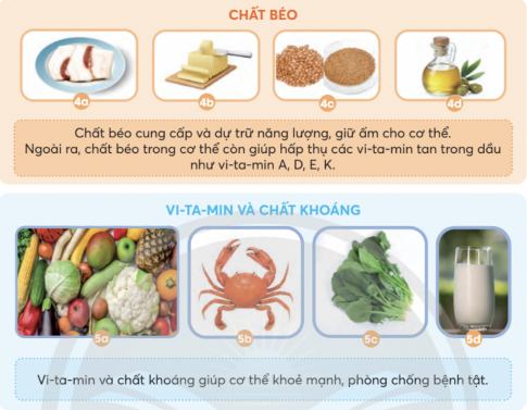 BÀI 23: CÁC NHÓM CHẤT DINH DƯỠNG CÓ TRONG THỨC ĂN