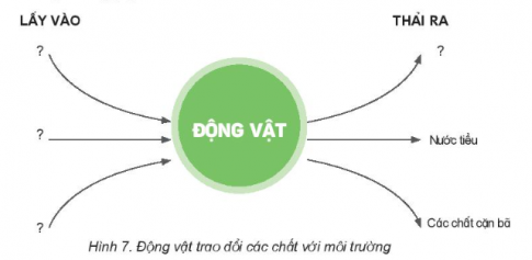 BÀI 16: ĐỘNG VẬT CẦN GÌ ĐỂ SỐNG