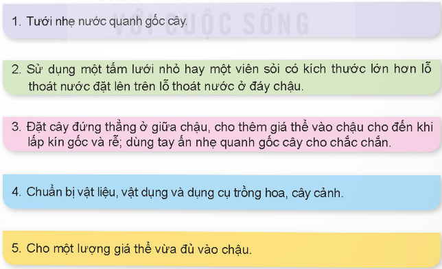 BÀI 5. TRỒNG HOA, CÂY CẢNH TRONG CHẬU