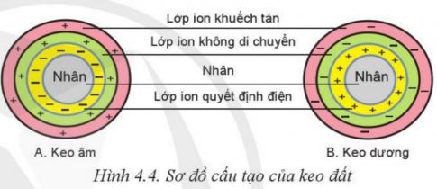 BÀI 4: THÀNH PHẦN VÀ TÍNH CHẤT CỦA ĐẤT TRỒNG