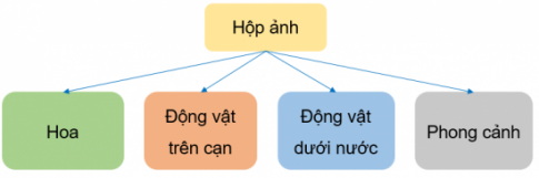 CHỦ ĐỀ C1. SẮP XẾP ĐỂ DỄ TÌMBÀI 1: SỰ CẦN THIẾT CỦA SẮP XẾP