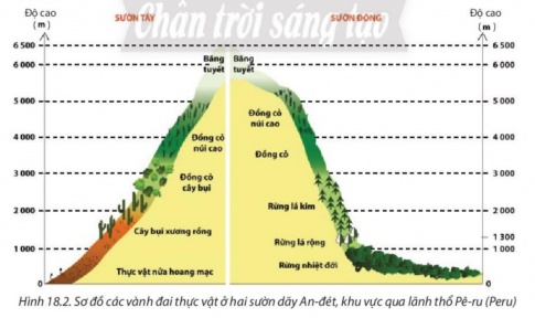 BÀI 18: QUY LUẬT ĐỊA ĐỚI VÀ QUY LUẬT PHI ĐỊA ĐỚI