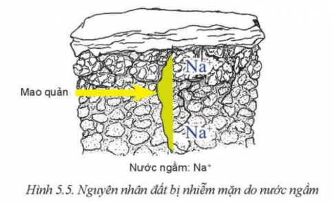 BÀI 5: BIỆN PHÁP CẢI TẠO, SỬ DỤNG VÀ BẢO VỆ ĐẤT TRỒNG