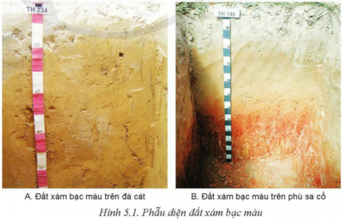 BÀI 5: BIỆN PHÁP CẢI TẠO, SỬ DỤNG VÀ BẢO VỆ ĐẤT TRỒNG