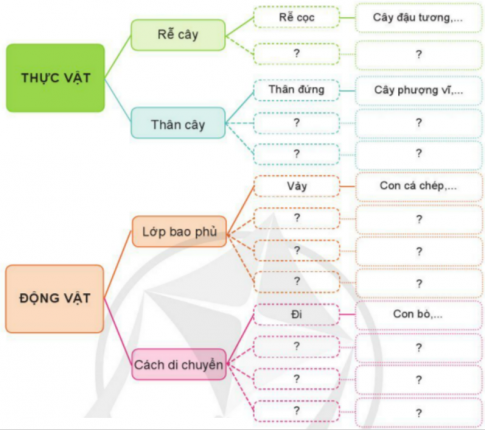 BÀI ÔN TẬP CHỦ ĐỀ THỰC VẬT VÀ ĐỘNG VẬT