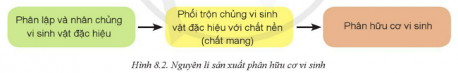 BÀI 8: ỨNG DỤNG CÔNG NGHỆ HIỆN ĐẠI TRONG SẢN XUẤT PHÂN BÓN