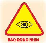 CHỦ ĐỀ 2: AN TOÀN TRONG CUỘC SỐNG CỦA EMHOẠT ĐỘNG TRẢI NGHIỆM TUẦN 8