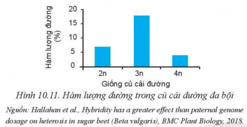 BÀI 10: PHƯƠNG PHÁP CHỌN, TẠO GIỐNG CÂY TRỒNG