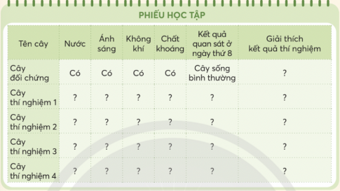 BÀI 15. THỰC VẬT CẦN GÌ ĐỂ SỐNG VÀ PHÁT TRIỂN?