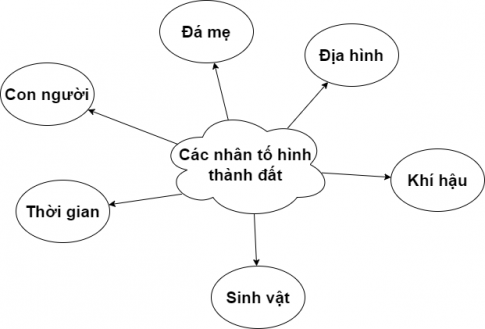 BÀI 14: ĐẤT 