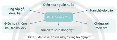 BÀI 19: THIÊN NHIÊN VÙNG TÂY NGUYÊNKhởi độngCâu hỏi: Nêu hiểu biết của em về thiên nhiên vùng Tây NguyênĐáp án chuẩnThiên nhiêm mang nét hoang sơ mà hùng vĩ của những cánh rừng, đồi núi và sông, hồLoại đất chiếm diện tích lớn ở Tây Nguyên là đất đỏ badan.Khám phá1. Vị trí địa líCâu hỏi: Quan sát hình 3 và đọc thông tin, em hãy:- Xác định trên lược đồ vị trí của vùng Tây Nguyên.- Nêu tên các quốc gia, vùng tiếp giáp với Tây NguyênĐáp án chuẩn- Tây Nguyên nằm ở ngã ba biên giới Việt Nam, Lào, Campuchia.- Vùng Tây Nguyên giáp với Lào và Cam-pu-chia, giáp các vùng duyên hải miền Trung và Nam Bộ. 2. Đặc điểm thiên nhiêna) Địa hìnhCâu hỏi: Dựa vào bảng 1, quan sát hình 3 và đọc thông tin, em hãy:- Xác định trên lược đồ vị trí của các cao nguyên của vùng Tây Nguyên- Nêu tên các cao nguyên. Cao nguyên nào cao nhất và thấp nhất?Bảng 1. Độ cao trung bình của các cao nguyên ở vùng Tây NguyênĐáp án chuẩn- Các cao nguyên phân bố ở các tỉnh: Kon Tum, Gia Lai,  Đắk Lắk, Đắk Nông và Lâm Đồng.- Tên các cao nguyên:Cao nguyên Kon TumCao nguyên PleikuCao nguyên Đắk LắkCao nguyên Mơ NôngCao nguyên Di LinhCao nguyên Lâm Viên- Trong đó: Cao nguyên Lâm Viên cao nhất Cao nguyên Kon Tum thấp nhấtb) Khí hậuCâu hỏi:- Dựa vào bảng 2, em hãy:+ Liệt kê các tháng mùa mưa và các tháng mùa khô ở Pleiku+ So sánh lượng mưa giữa các tháng mùa mưa và các tháng mùa khô ở Pleiku+ Cho biết chênh lệch nhiệt độ giữa tháng nóng nhất và tháng lạnh nhất ở Pleiku là bao nhiêu.- Nêu đặc điểm cơ bản của khí hậu vùng Tây Nguyên.Bảng 2. Nhiệt độ và lượng mưa trung bình tháng ở Pleiku (Gia Lai)Đáp án chuẩnCác tháng mùa mưa: Tháng 1, 2, 3, 4, 11, 12Các tháng mùa khô: Tháng 5, 6, 7, 8, 9, 10Lượng mưa ở các tháng mùa mưa lớn, còn lượng mưa ở các tháng mùa khô nhỏ. Chênh lệch giữa tháng nóng nhất và tháng lạnh nhất là  4oC- Đặc điểm cơ bản của khí hậu vùng Tây Nguyên: Khí hậu vùng Tây Nguyên có hai mùa rõ rệt là mùa mưa và mùa khô.Nhiệt độ trung bình năm trên 20°C, một số nơi địa hình cao có khí hậu mát mẻ. Lượng mưa lớn, chủ yếu tập trung vào mùa mưa. Mùa khô, nhiều tháng có hiện tượng khô hạn.c) ĐấtCâu hỏi: Đọc thông tin, em hãy cho biết loại đất chính ở vùng Tây Nguyên.Đáp án chuẩnLoại đất chính ở vùng Tây Nguyên là đất đỏ badand) RừngCâu hỏi: Quan sát các hình 3, 4, 5 và đọc thông tin, em hãy:- Kể tên một số vườn quốc gia, các kiểu rừng chủ yếu ở vùng Tây Nguyên.- Nêu vai trò của rừng và một số biện pháp bảo vệ rừng ở vùng Tây Nguyên.Đáp án chuẩn- Một số vườn quốc gia:Chư Mom RayKon Ka KinhChư Yang SinBi Đúp - Núi BàTà Đùng- Kiểu rừng chủ yếu ở vùng Tây Nguyên:Rừng khộpRừng rậm nhiệt đới- Vai trò của rừng:Điều hòa nguồn nướcHạn chế gió bãoChống xói mòn đấtNơi cư trú của động vật,...Cung cấp gỗ, dược liệuĐiều hòa không khí, tạo khí oxy- Một số biện pháp bảo vệ rừng:Ngăn chặn phá rừngPhòng, chống cháy rừngCó kế hoạch trồng, tái tạo rừng Tuyên truyền bảo vệ rừngLuyện tậpCâu hỏi 1. Vẽ sơ đồ tư duy thể hiện đặc điểm tự nhiên của vùng Tây NguyênĐáp án chuẩn- Địa hình: Địa hình vùng Tây Nguyên chủ yếu là các cao nguyên xếp tầng- Khí hậu:Có hai mùa rõ rệt là mùa mưa và mùa khô.Nhiệt độ trung bình năm trên 20oCLượng mưa lớn, chủ yếu tập trung vào mùa mưa.Mùa khô nhiều tháng có hiện tượng khô hạn- Đất: Loại đất chính ở vùng Tây Nguyên là đất đỏ badan- Rừng: diện tích rừng lớnCâu hỏi 2. Vì sao cần bảo vệ rừng ở Tây Nguyên?Đáp án chuẩnVì rừng Tây Nguyên có vai trò quan trọng đối với tự nhiên, hoạt động sản xuất và đời sống của người dân và hệ sinh thái rừng đang bị đe dọa bởi những hoạt động như phá rừng, khai thác trái phép,..Vận dụng