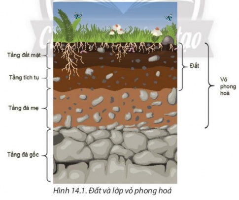 BÀI 14: ĐẤT 