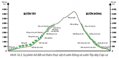 BÀI 16: THỰC HÀNH. PHÂN TÍCH SỰ PHÂN BỐ CỦA ĐẤT VÀ SINH VẬT TRÊN TRÁI ĐẤT