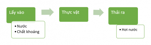 BÀI 15: THỰC VẬT CẦN GÌ ĐỂ SỐNG