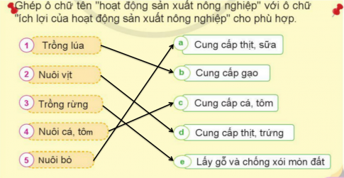 BÀI 9. HOẠT ĐỘNG SẢN XUẤT NÔNG NGHIỆP