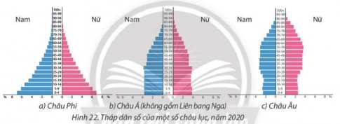 BÀI 22: THỰC HÀNH: PHÂN TÍCH THÁP DÂN SỐ, VẼ BIỂU ĐỒ CƠ CẤU DÂN SỐ THEO NHÓM TUỔI