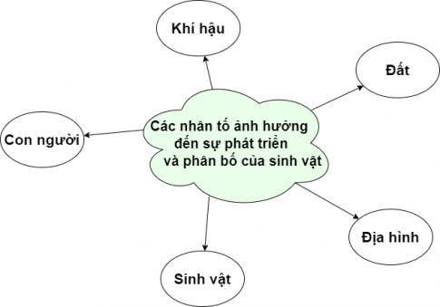  BÀI 15: SINH QUYỂN, CÁC NHÂN TỐ ẢNH HƯỞNG ĐẾN SỰ PHÁT TRIỂN VÀ PHÂN BỐ SINH VẬT