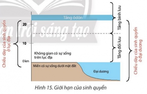  BÀI 15: SINH QUYỂN, CÁC NHÂN TỐ ẢNH HƯỞNG ĐẾN SỰ PHÁT TRIỂN VÀ PHÂN BỐ SINH VẬT