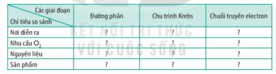 BÀI 14 - PHÂN GIẢI VÀ TỔNG HỢP CÁC CHẤT TRONG TẾ BÀO