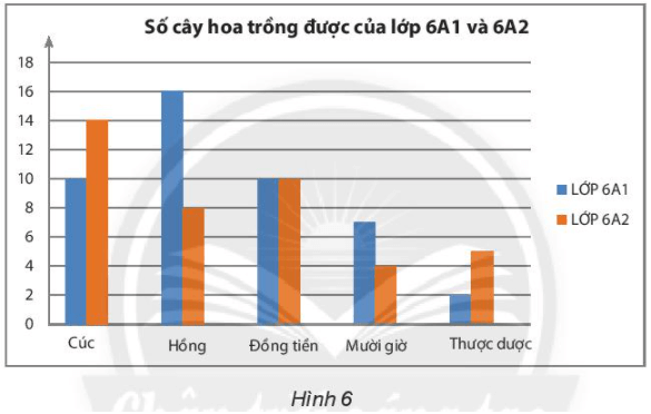 BÀI 4: BIỂU ĐỒ CỘT – BIỂU ĐỒ CỘT KÉP