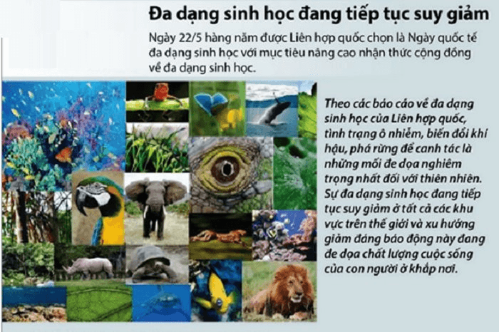 BÀI 35. DỰ ÁN: TÌM HIỂU THỰC TRẠNG BẢO TỒN HỆ SINH THÁI TẠI ĐỊA PHƯƠNG VÀ ĐỀXUẤT GIẢI PHÁP BẢO TỒN