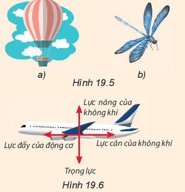 BÀI 19 LỰC CẢN VÀ LỰC NÂNG