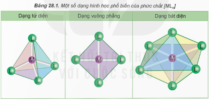 BÀI 28. SƠ LƯỢC VỀ PHỨC CHẤT