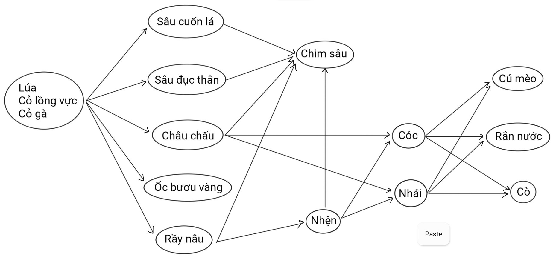 BÀI 29. TRAO ĐỔI VẬT CHẤT VÀ CHUYỂN HÓA NĂNG LƯỢNG TRONG HỆ SINH THÁI