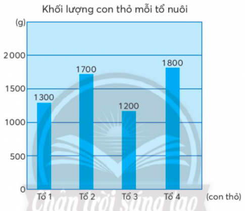 BÀI 19. TÌM SỐ TRUNG BÌNH CỘNG 