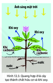 BÀI 12: LỚP VỎ KHÍ. KHỐI KHÍ. KHÍ ÁPVÀ GIÓ TRÊN TRÁI ĐẤT