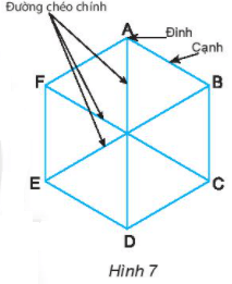 BÀI 1: HÌNH VUÔNG – TAM GIÁC ĐỀU – LỤC GIÁC ĐỀU 