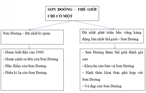 VĂN BẢN: SƠN ĐOÒNG - THẾ GIỚI CHỈ CÓ MỘT