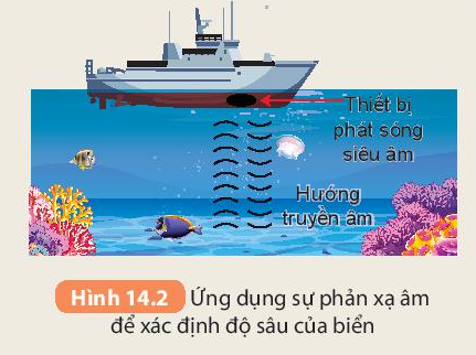 BÀI 14. PHẢN XẠ ÂM, CHỐNG Ô NHIỄM TIẾNG ỒN