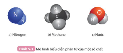 BÀI 5. PHÂN TỬ - ĐƠN CHẤT - HỢP CHẤT 