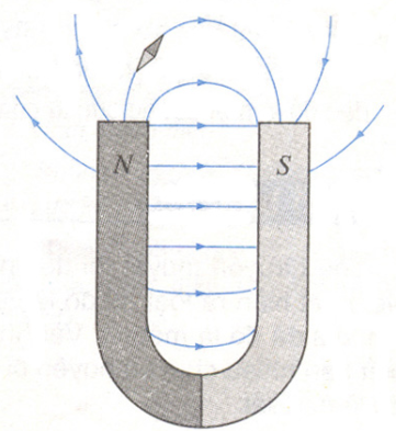 BÀI 19. TỪ TRƯỜNG 