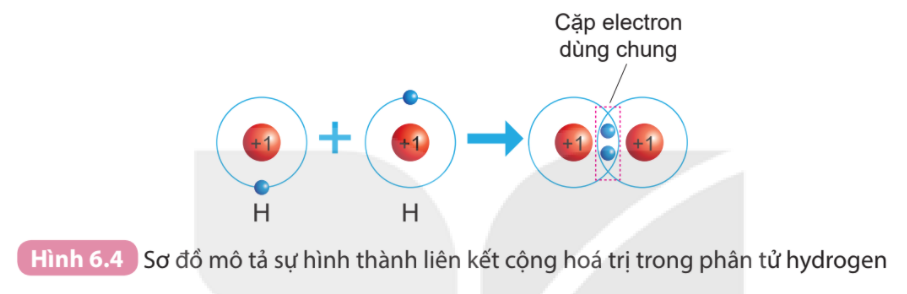 BÀI 6. GIỚI THIỆU VỀ LIÊN KẾT HÓA HỌC