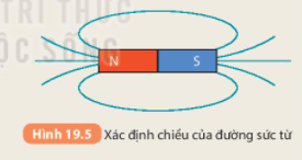 BÀI 19. TỪ TRƯỜNG 