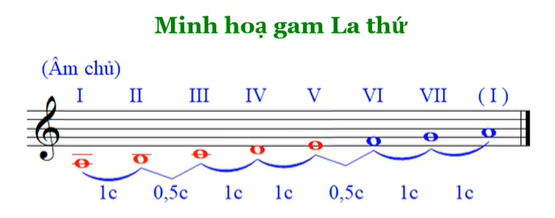 BÀI 13 - TIẾT 1