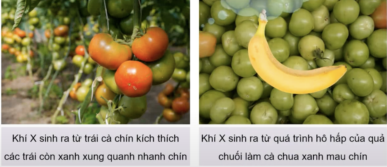 BÀI 16: HYDROCARBON KHÔNG NO